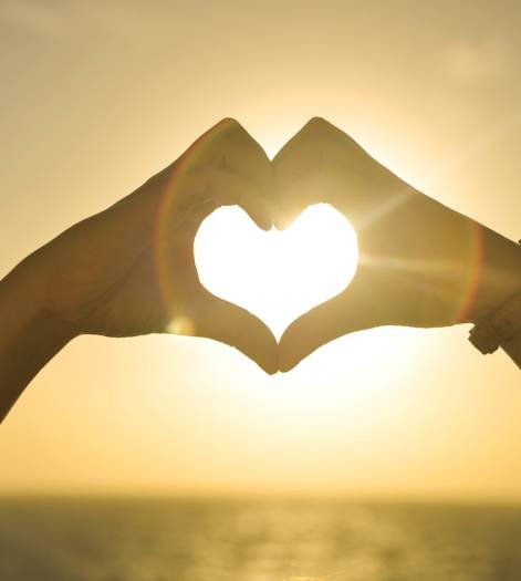 anima-cuore anima-cuore